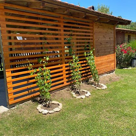 Apartmani D&S Μόκρα Γκόρα Εξωτερικό φωτογραφία
